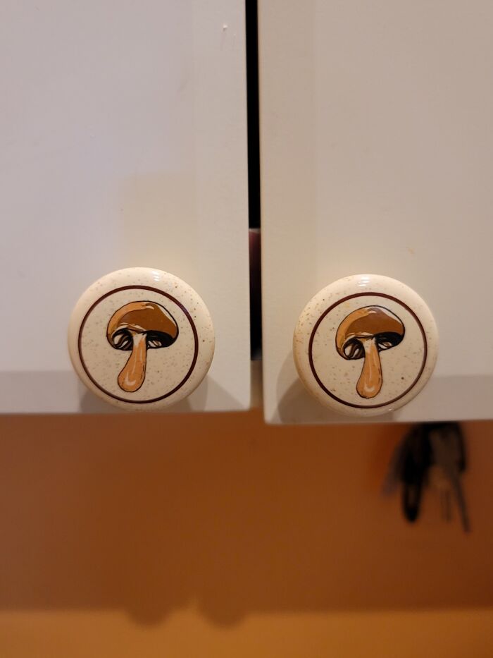 Found About 20 Mushroom Cabinet Knobs For About $2 Us.