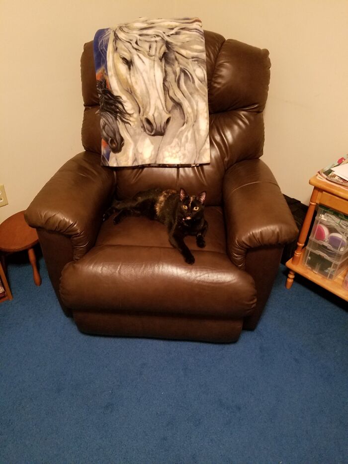 Leather La-Z-Boy. Thrift $75, Retail $1,000. Cat Not Included.
