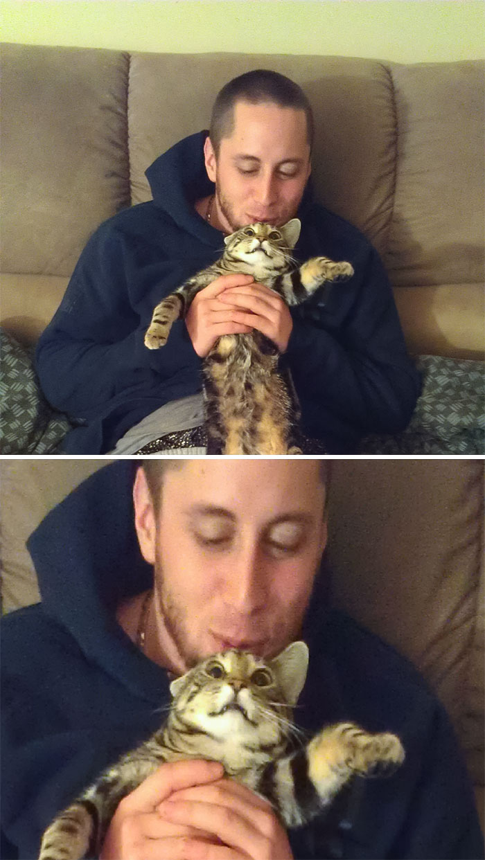 I Tried To Make My Boyfriend Take A Cat Beard Picture. This Was The Result