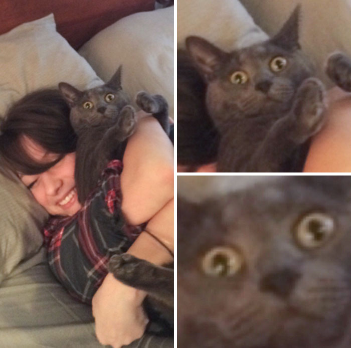 My Girlfriend And Our Cat. The Feeling's Mutual
