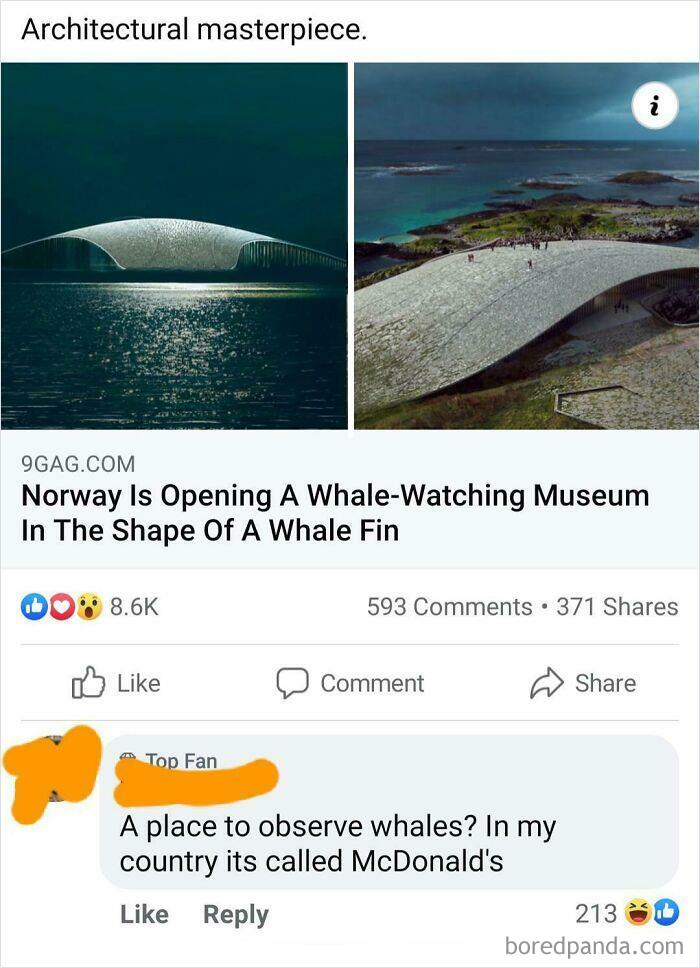 Cursed Whale Watching
