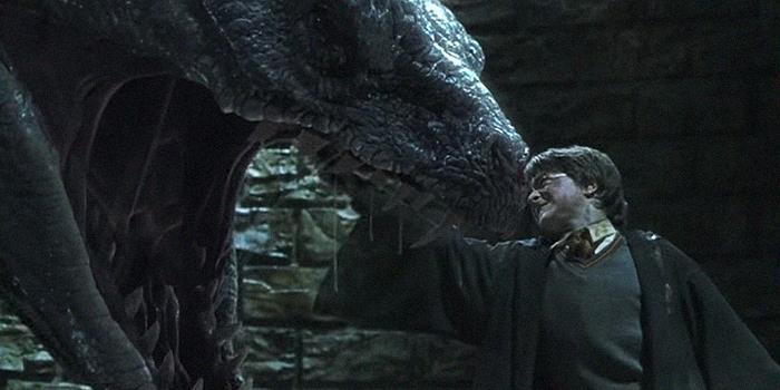 If Harry Potter Was A Horcrux The Entire Time And Basilisk Venom Is Enough To Destroy A Horcrux, Why Wasn't The Horcrux Inside Of Harry Destroyed When The Basilisk Bit Him In Harry Potter And The Chamber Of Secrets (2002)?