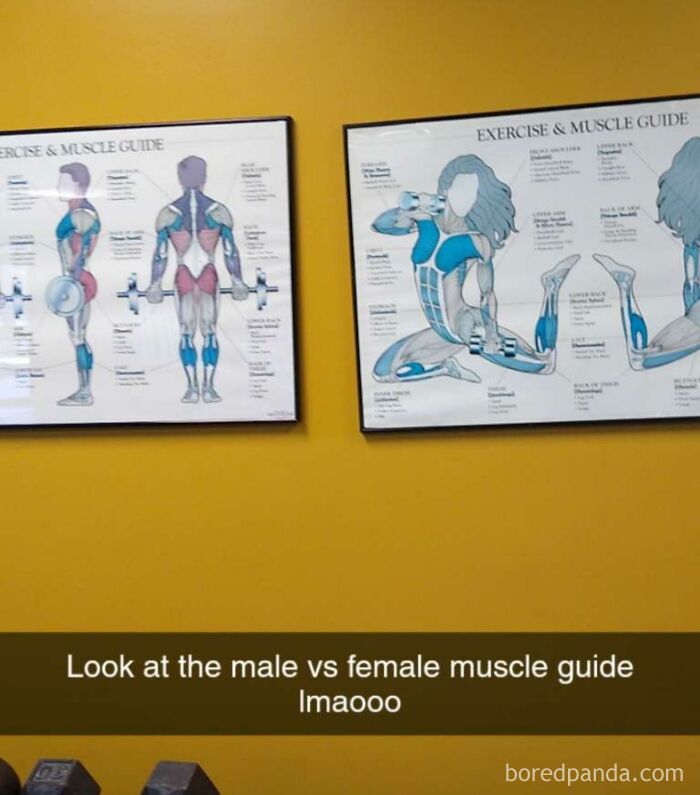 Literal Woman's Anatomy?