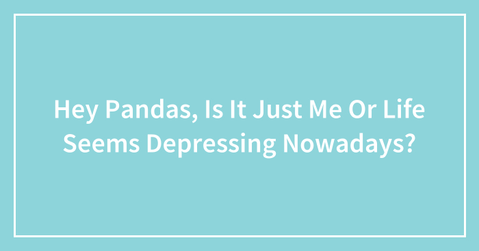 Hey Pandas, Is It Just Me Or Life Seems Depressing Nowadays? (Closed)