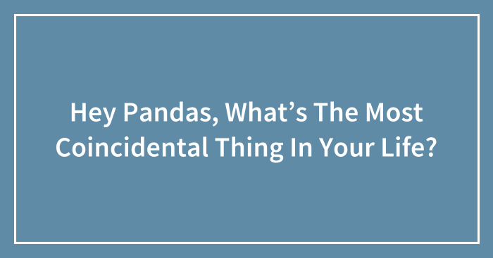 Hey Pandas, What’s The Most Coincidental Thing In Your Life? (Closed)