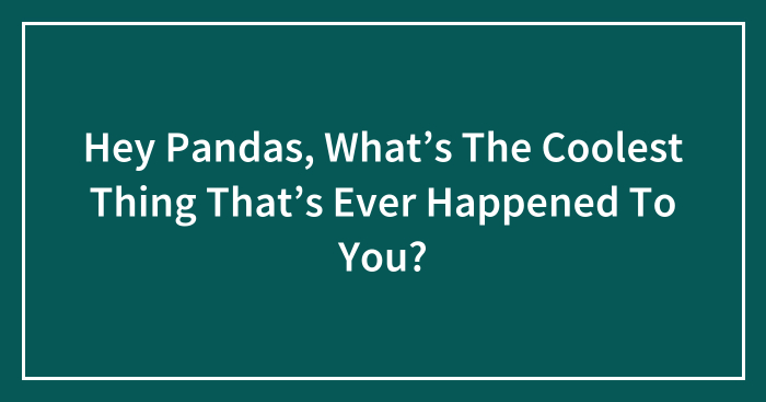 Hey Pandas, What’s The Coolest Thing That’s Ever Happened To You? (Closed)