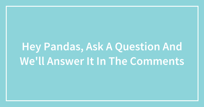 Hey Pandas, Ask A Question And We’ll Answer It In The Comments (Closed)