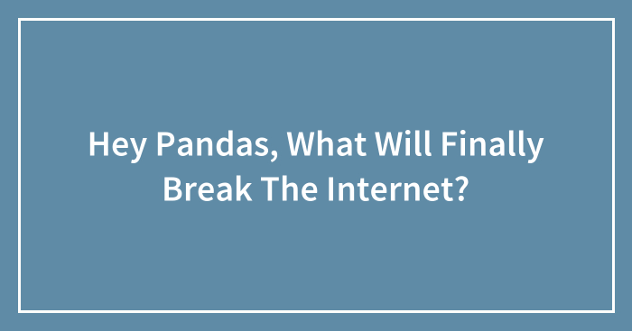 Hey Pandas, What Will Finally Break The Internet? (Closed)