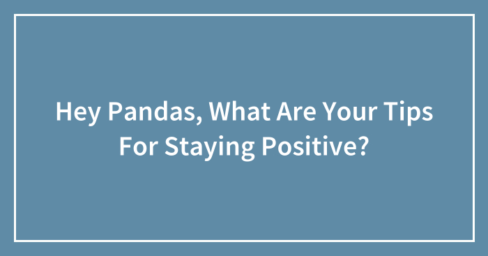 Hey Pandas, What Are Your Tips For Staying Positive? (Closed)