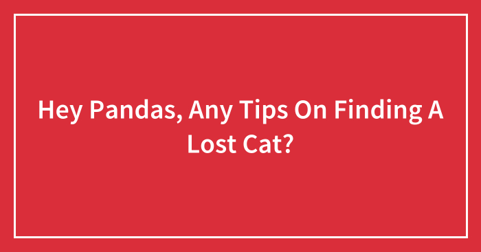Hey Pandas, Any Tips On Finding A Lost Cat? (Closed)
