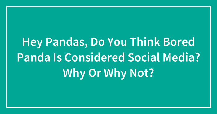 Hey Pandas, Do You Think Bored Panda Is Considered Social Media? Why Or Why Not? (Closed)
