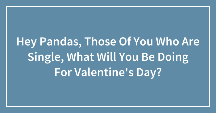 Hey Pandas, Those Of You Who Are Single, What Will You Be Doing For Valentine’s Day? (Closed)