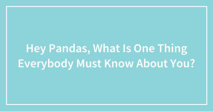 Hey Pandas, What Is One Thing Everybody Must Know About You? (Closed)