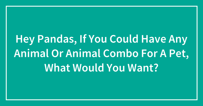 Hey Pandas, If You Could Have Any Animal Or Animal Combo For A Pet, What Would You Want? (Closed)
