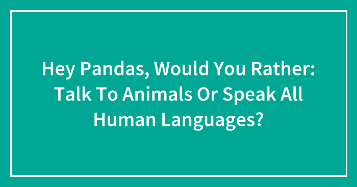 Hey Pandas, Would You Rather: Talk To Animals Or Speak All Human Languages? (Closed)
