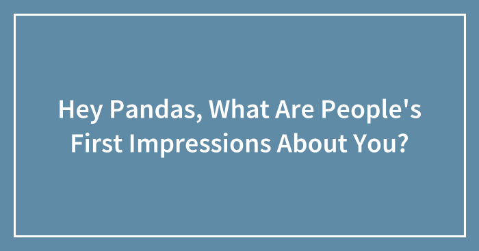 Hey Pandas, What Are People’s First Impressions About You? (Closed)