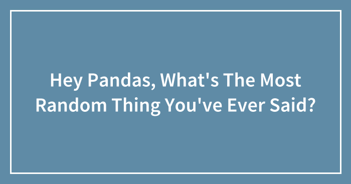 Hey Pandas, What’s The Most Random Thing You’ve Ever Said? (Closed)