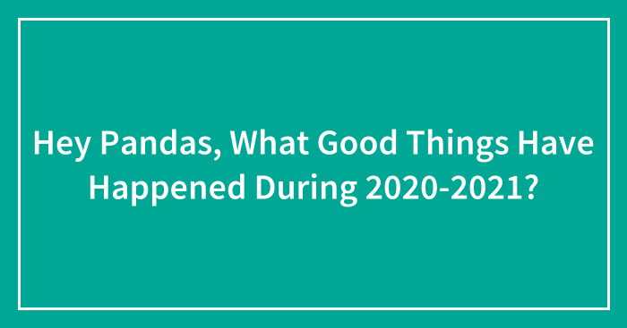 Hey Pandas, What Good Things Have Happened During 2020-2021? (Closed)