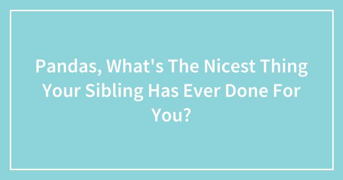 Hey Pandas, What’s The Nicest Thing Your Sibling Has Ever Done For You?