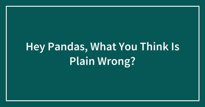 Hey Pandas, What You Think Is Plain Wrong? (Closed)