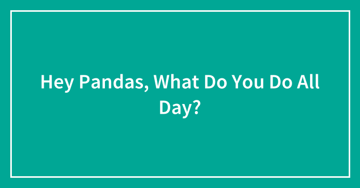 Hey Pandas, What Do You Do All Day?