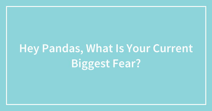 Hey Pandas, What Is Your Current Biggest Fear?
