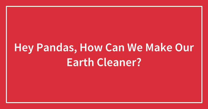 Hey Pandas, How Can We Make Our Earth Cleaner?
