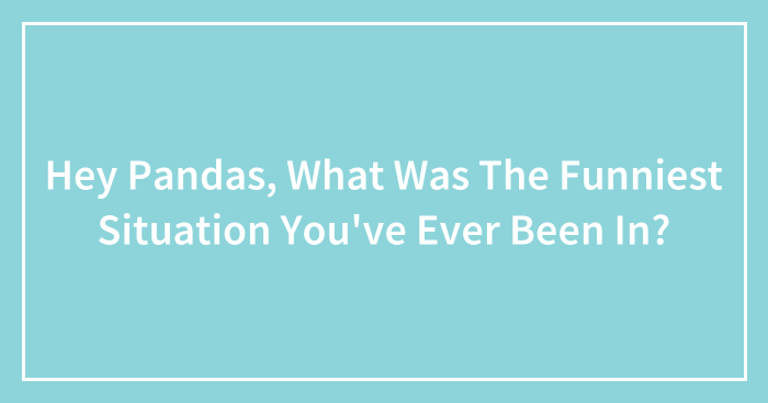 Hey Pandas, What Was The Funniest Situation You’ve Ever Been In?