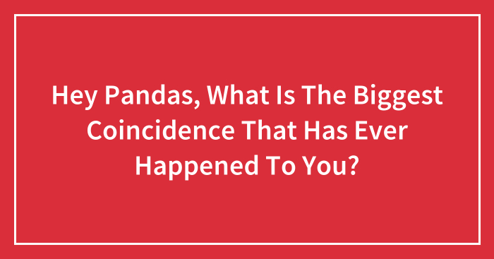 Hey Pandas, What Is The Biggest Coincidence That Has Ever Happened To You?