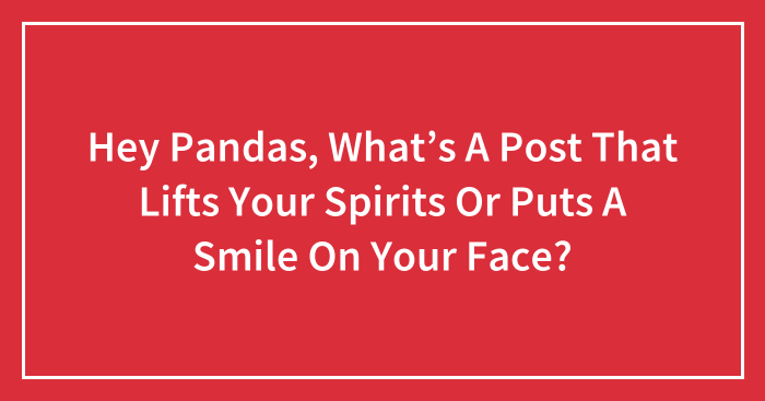 Hey Pandas, What’s A Post That Lifts Your Spirits Or Puts A Smile On Your Face? (Closed)