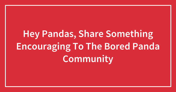 Hey Pandas, Share Something Encouraging To The Bored Panda Community (Closed)