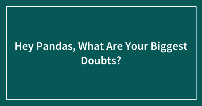 Hey Pandas, What Are Your Biggest Doubts? (Closed)