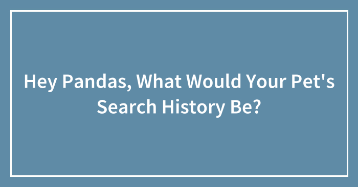 Hey Pandas, What Would Your Pet’s Search History Be? (Closed)