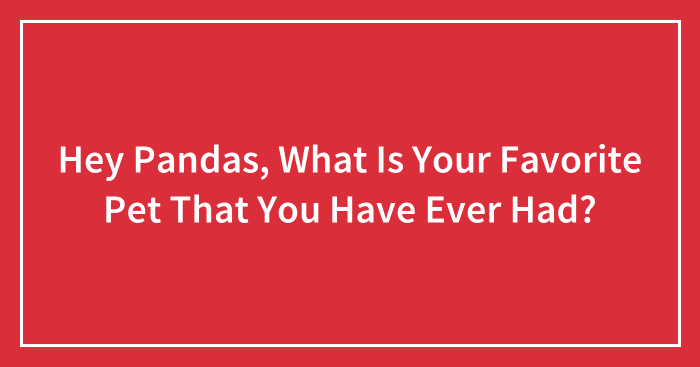 Hey Pandas, What Is Your Favorite Pet That You Have Ever Had? (Closed)