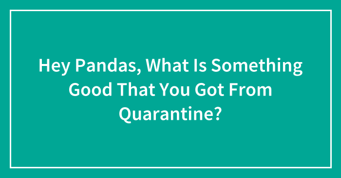 Hey Pandas, What Is Something Good That You Got From Quarantine? (Closed)