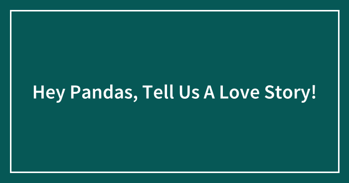 Hey Pandas, Tell Us A Love Story! (Closed)