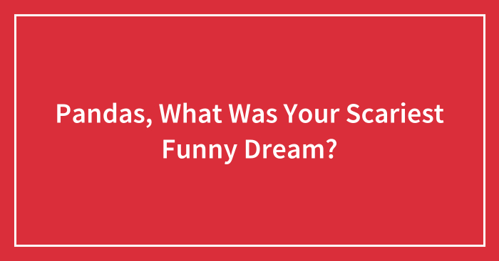Pandas, What Was Your Scariest Funny Dream? (Closed)