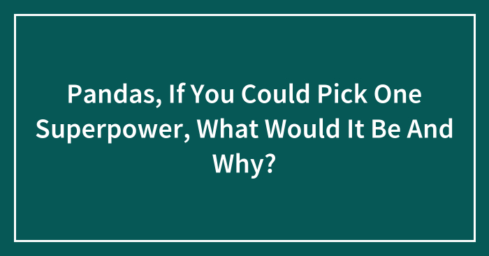 Pandas, If You Could Pick One Superpower, What Would It Be And Why? (Closed)