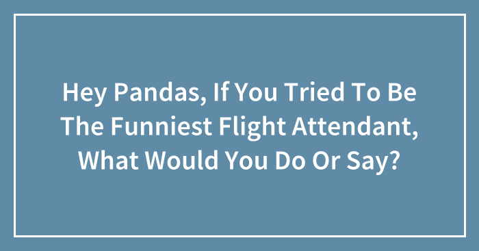 Hey Pandas, If You Tried To Be The Funniest Flight Attendant, What Would You Do Or Say? (Closed)