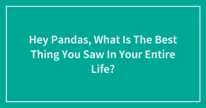 Hey Pandas, What Is The Best Thing You Saw In Your Entire Life? (Closed)