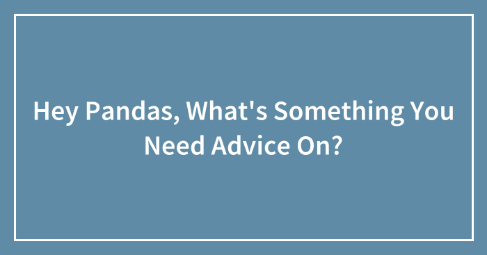 Hey Pandas, What’s Something You Need Advice On? (Closed)