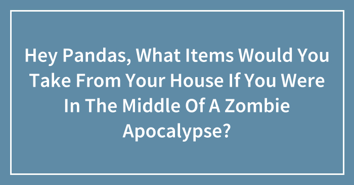 Hey Pandas, What Items Would You Take From Your House If You Were In The Middle Of A Zombie Apocalypse? (Closed)