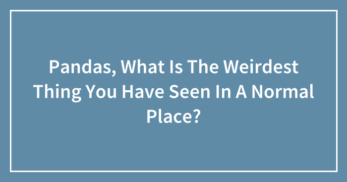 Pandas, What Is The Weirdest Thing You Have Seen In A Normal Place? (Closed)