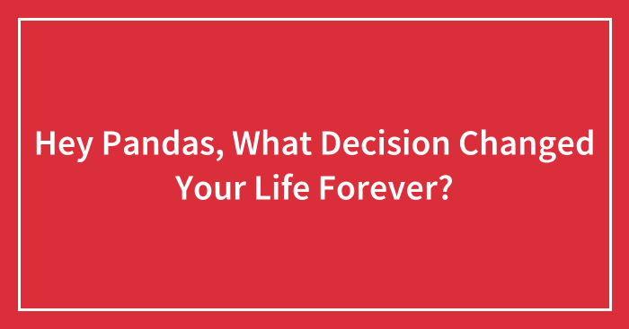 Hey Pandas, What Decision Changed Your Life Forever? (Closed)