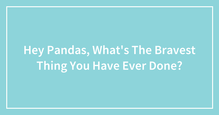 Hey Pandas, What’s The Bravest Thing You Have Ever Done? (Closed)