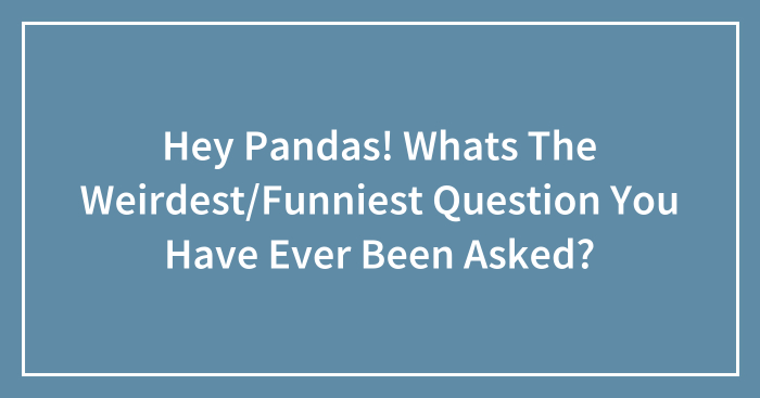 Hey Pandas, What’s The Weirdest Or Funniest Question You Have Ever Been Asked? (Closed)