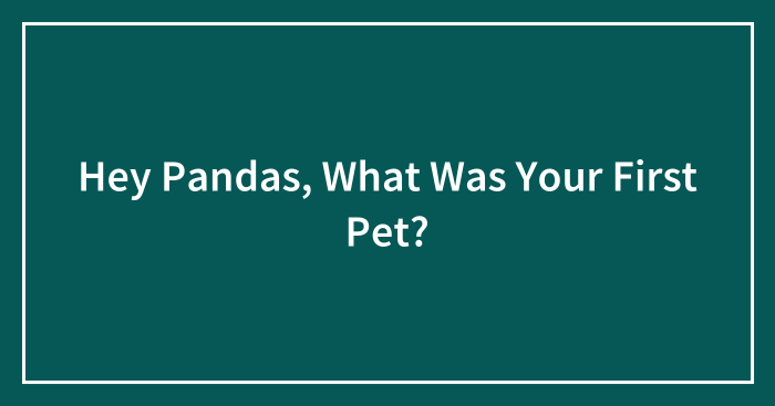 Hey Pandas, What Was Your First Pet? (Closed)