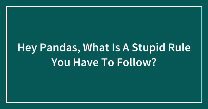 Hey Pandas, What Is A Stupid Rule You Have To Follow? (Closed)