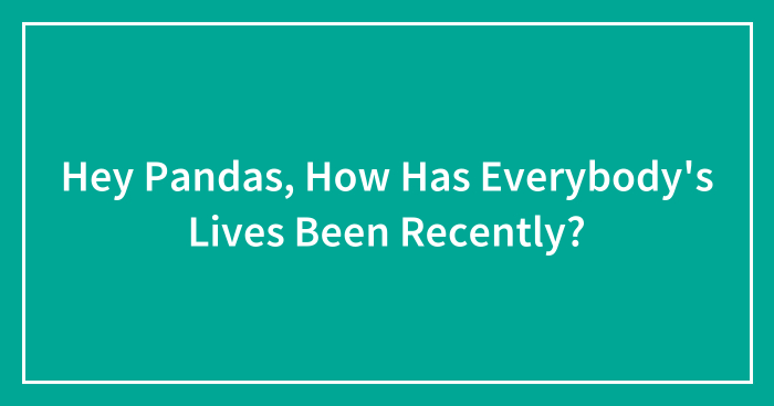 Hey Pandas, How Has Everybody’s Lives Been Recently? (Closed)