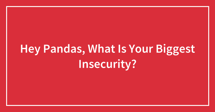 Hey Pandas, What Is Your Biggest Insecurity? (Closed)